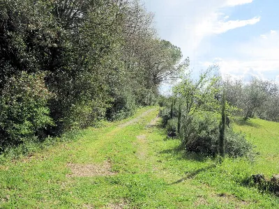 Rustico/Casale in vendita a Civitella Paga... - foto 5