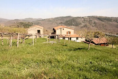 Rustico/Casale in vendita a Roccastrada - foto 10