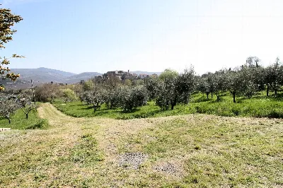 Rustico/Casale in vendita a Roccastrada - foto 8