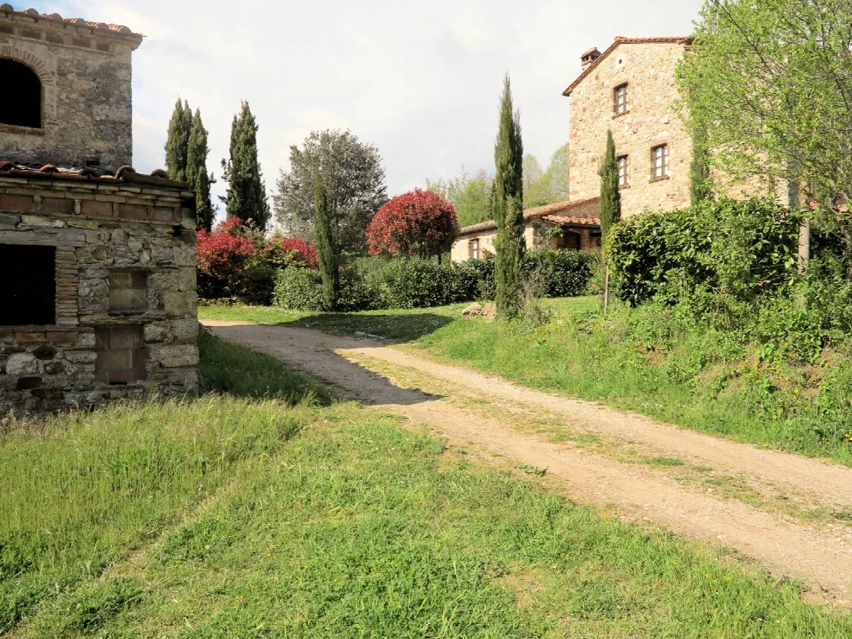 Rustico/Casale in vendita a Montieri - foto 5