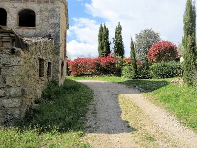 Rustico/Casale in vendita a Montieri - foto 7