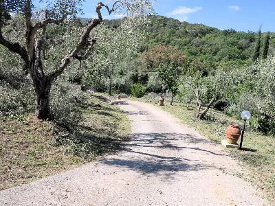 Rustico/Casale in vendita a Scarlino - foto 10