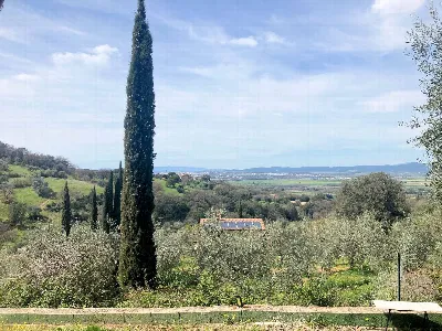 Rustico/Casale in vendita a Scarlino - foto 2