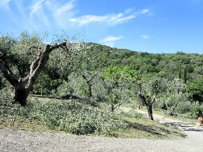 Rustico/Casale in vendita a Scarlino - foto 8