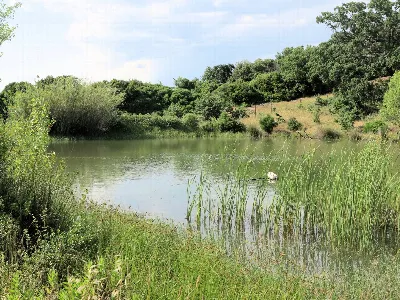 Rustico/Casale in vendita a Magliano in To... - foto 2