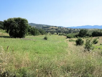 Rustico/Casale in vendita a Magliano in To... - foto 3