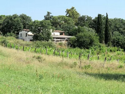 Rustico/Casale in vendita a Magliano in To... - foto 4