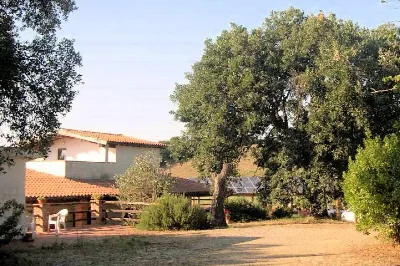 Rustico/Casale in vendita a Magliano in To... - foto 6