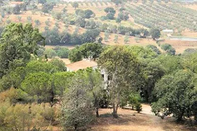 Rustico/Casale in vendita a Magliano in To... - foto 7