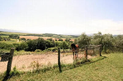 Rustico/Casale in vendita a Barberino di M... - foto 9