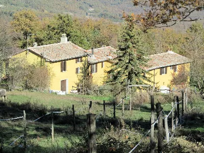 Rustico/Casale in vendita a Montieri - foto 2