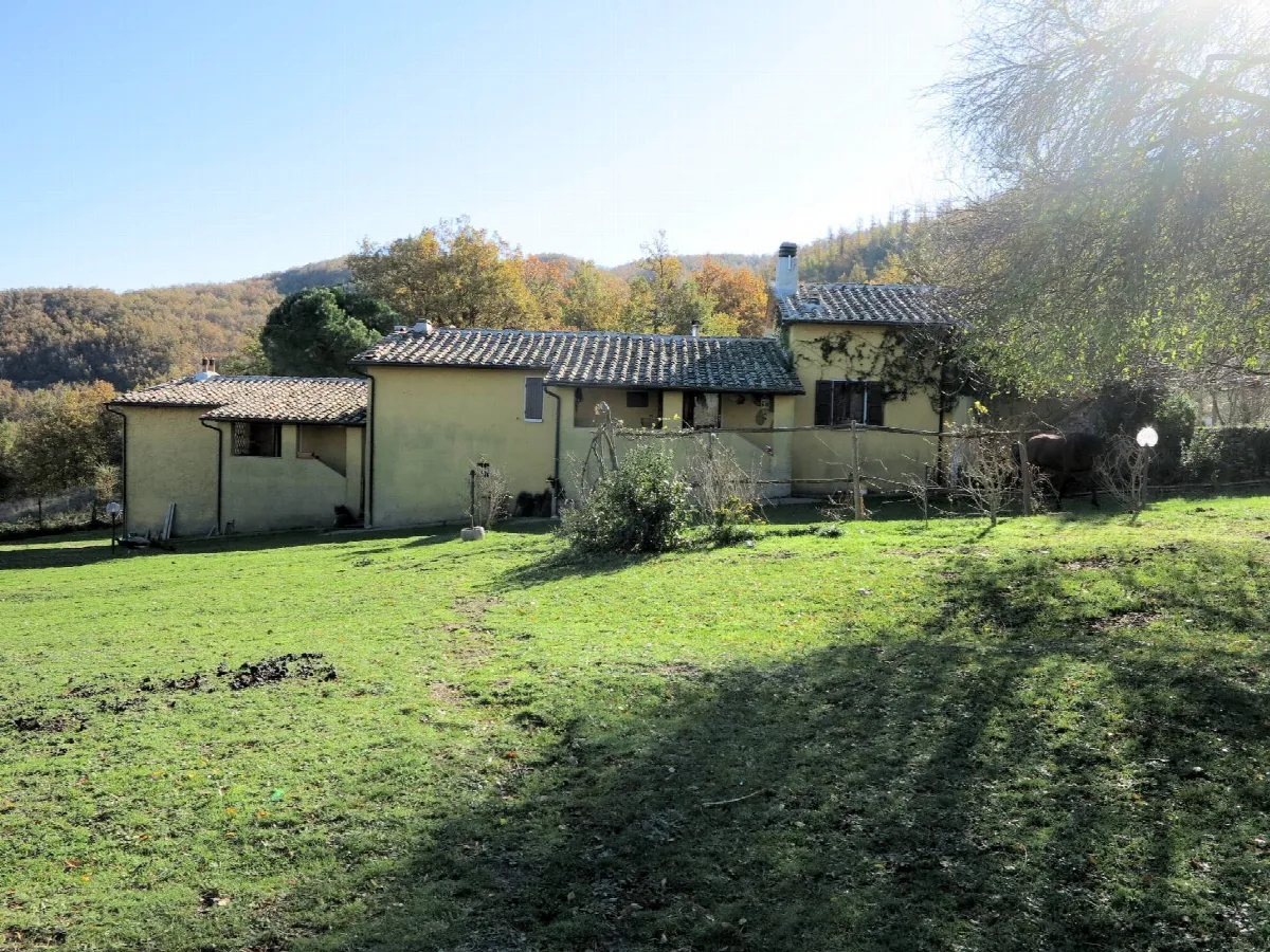 Rustico/Casale in vendita a Montieri - foto 4