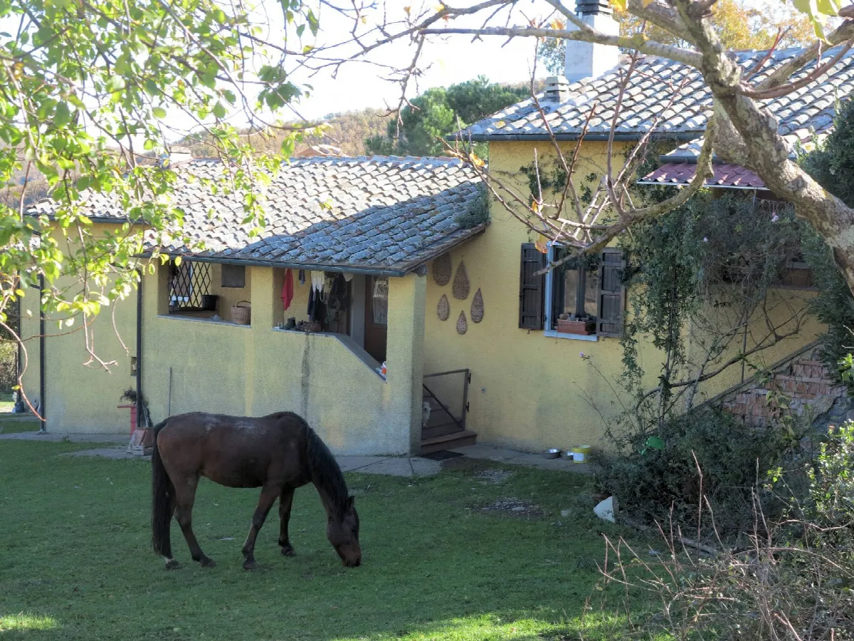 Rustico/Casale in vendita a Montieri - foto 5