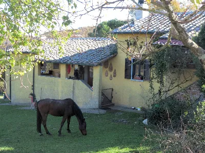 Rustico/Casale in vendita a Montieri - foto 5
