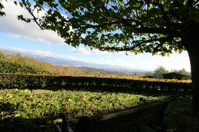 Rustico/Casale in vendita a Serravalle Pis... - foto 4