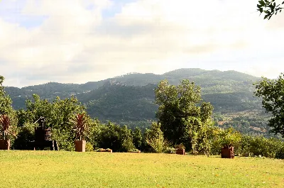 Rustico/Casale in vendita a Roccastrada - foto 3