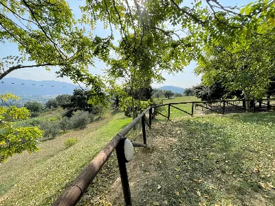 Rustico/Casale in vendita a Vecchiano - foto 2