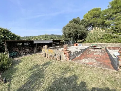 Rustico/Casale in vendita a Vecchiano - foto 4