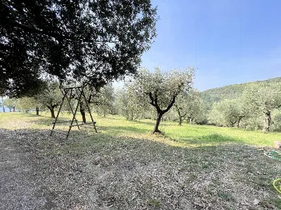 Rustico/Casale in vendita a Vecchiano - foto 6