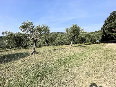 Rustico/Casale in vendita a Vecchiano - foto 8