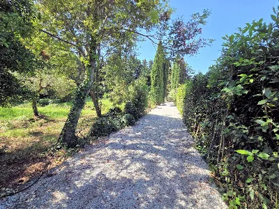 Rustico/Casale in vendita a Campiglia Mari... - foto 10