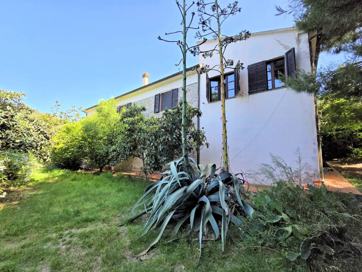 Rustico/Casale in vendita a Campiglia Marittima - foto 5