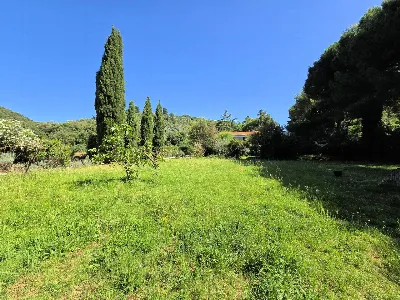 Rustico/Casale in vendita a Campiglia Mari... - foto 9