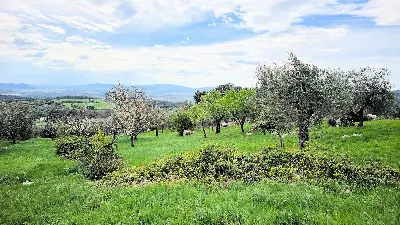 Rustico/Casale in vendita a Roccastrada - foto 3