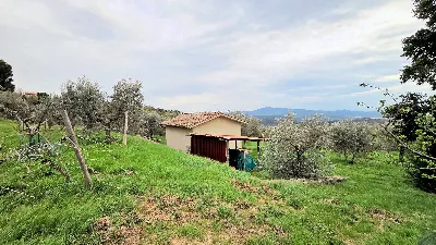 Rustico/Casale in vendita a Roccastrada - foto 6