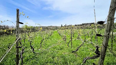 Rustico/Casale in vendita a Roccastrada - foto 7