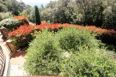 Villa in vendita a Livorno, Antignano, Ban... - foto 9