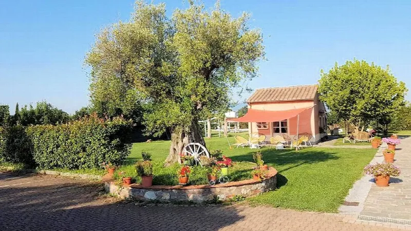 Rustico/Casale in vendita a Altopascio - foto 6