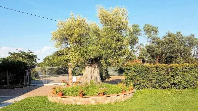 Rustico/Casale in vendita a Altopascio - foto 9