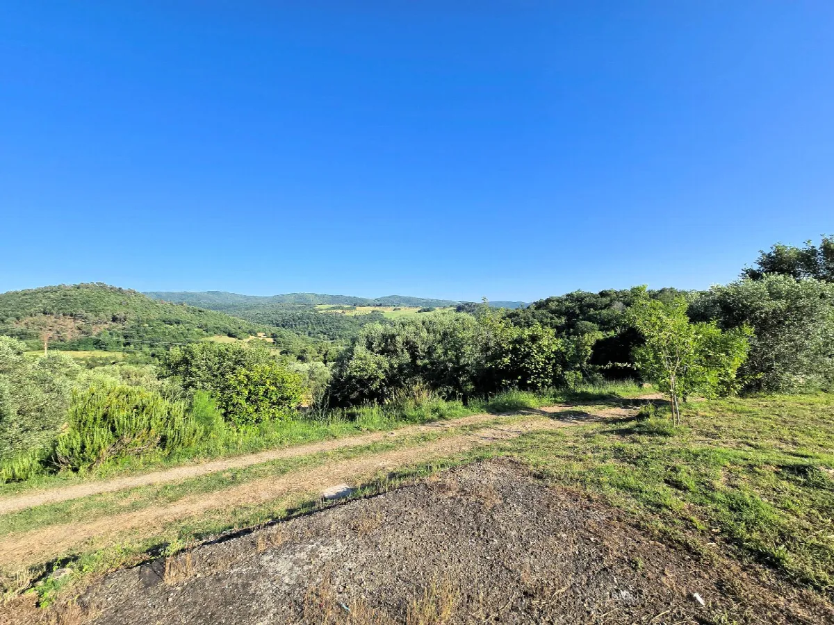 Rustico/Casale in vendita a Monterotondo Marittimo - foto 4