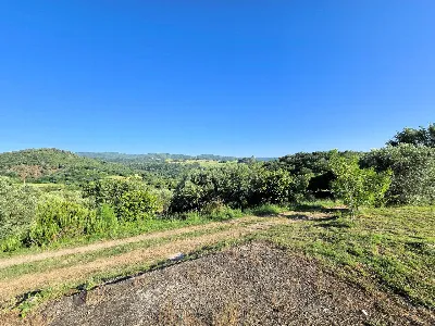 Rustico/Casale in vendita a Monterotondo M... - foto 4