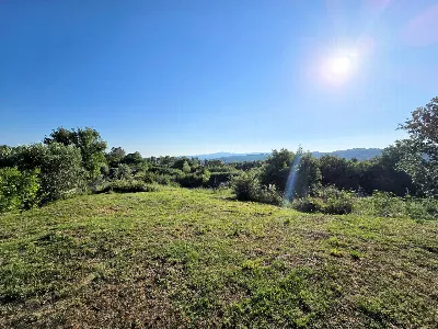 Rustico/Casale in vendita a Monterotondo M... - foto 6