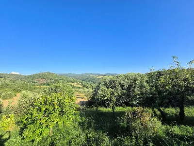 Rustico/Casale in vendita a Monterotondo M... - foto 9