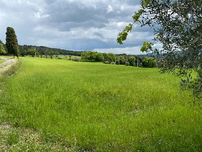 Rustico/Casale in vendita a Pomarance - foto 10