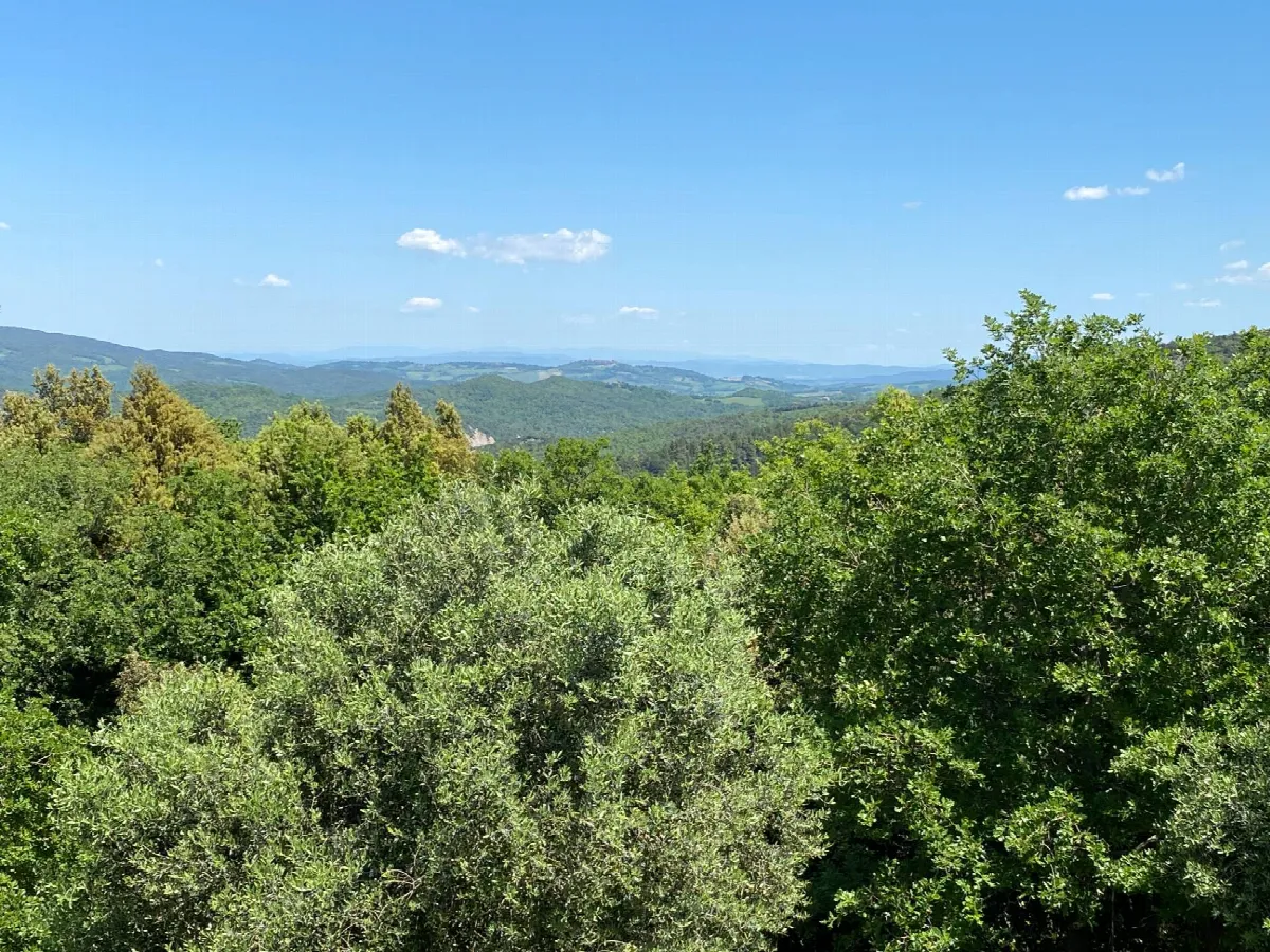Rustico/Casale in vendita a Pomarance - foto 4