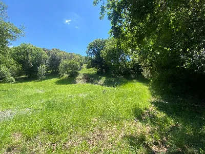 Rustico/Casale in vendita a Pomarance - foto 6