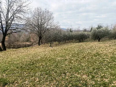 Rustico/Casale in vendita a Castelnuovo di... - foto 9