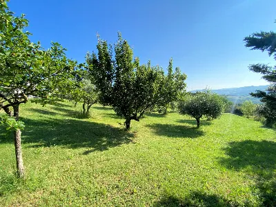 Rustico/Casale in vendita a Castelnuovo di... - foto 7
