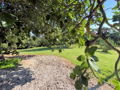 Rustico/Casale in vendita a Castelnuovo di... - foto 9