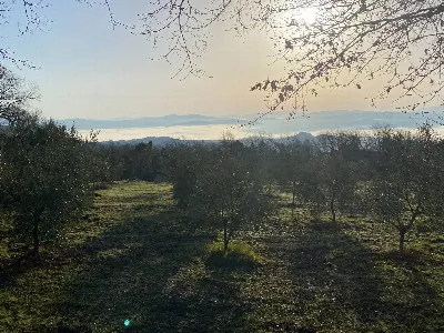 Rustico/Casale in vendita a Castelnuovo di... - foto 3