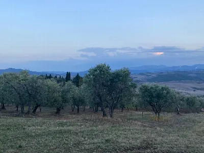 Rustico/Casale in vendita a Castelnuovo di... - foto 7