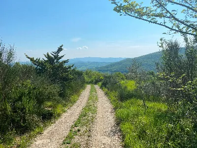 Rustico/Casale in vendita a Castelnuovo di... - foto 9