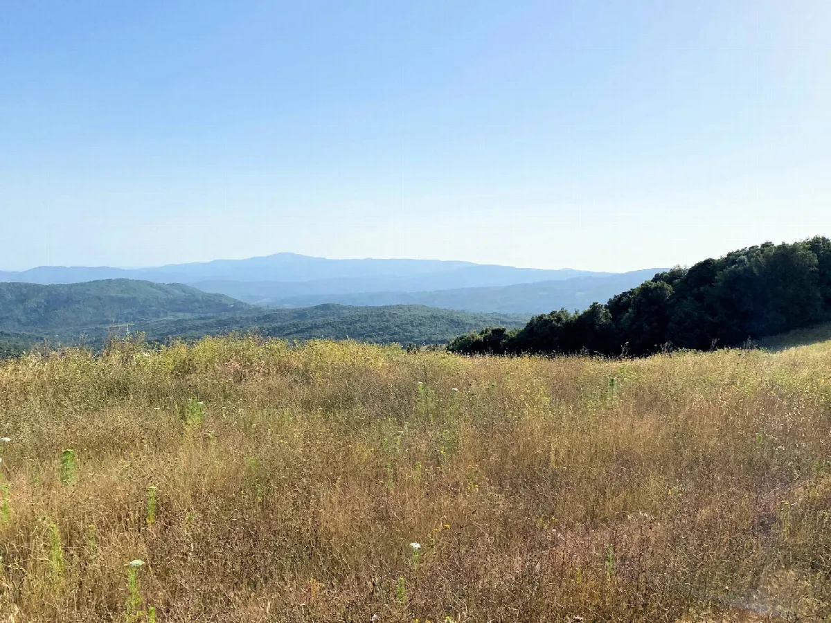 Rustico/Casale in vendita a Monteverdi Marittimo - foto 2