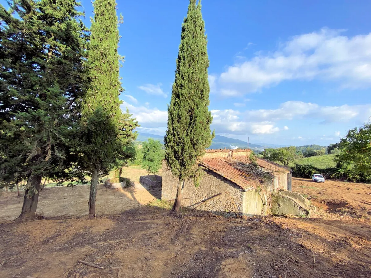 Rustico/Casale in vendita a Monteverdi Marittimo - foto 4