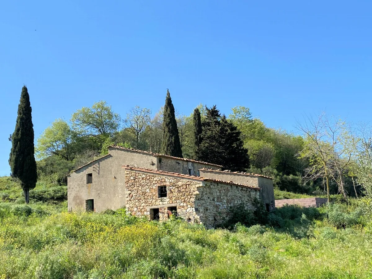 Rustico/Casale in vendita a Monteverdi Marittimo - foto 5