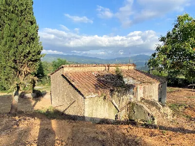 Rustico/Casale in vendita a Monteverdi Mar... - foto 9